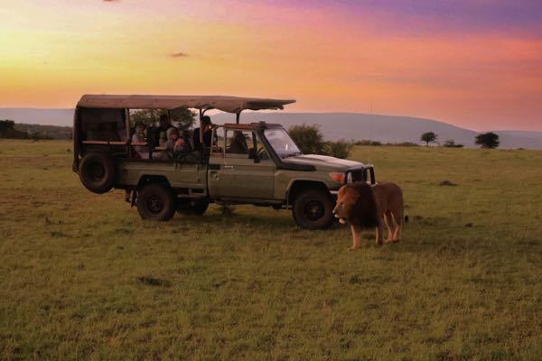 Group Tours